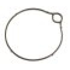 Honda FES125 Pantheon 98-02 JF05 Float chamber seal Honda FES125 Pantheon 98-02 JF05 Float chamber seal